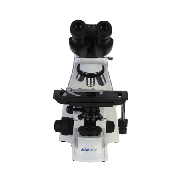 Fisherbrand™ Research Grade Upright Microscope