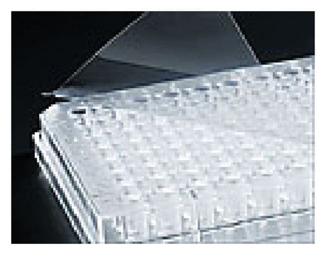 Corning™ Universal Optical Microplate Sealing Tape