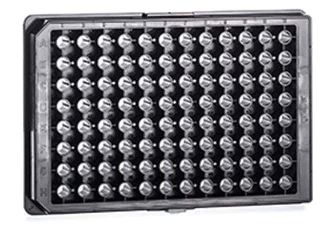 Greiner Bio-One CELLSTAR™ 96-Well Half-Area Cell Culture-Treated Flat-Bottom Microplate
