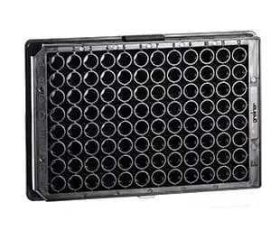 Greiner Bio-One 96-well Solid Bottomed Microplates Flat Bottom (F-well)