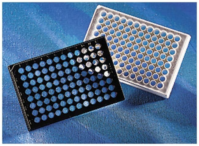 Corning™ 96-Well Cell Culture-Treated Flat-Bottom Microplate
