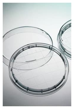 Corning™ Petri Dishes