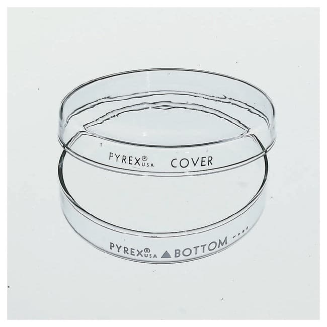Corning™ PYREX™ Reusable Petri Dishes, Complete, 150 mm