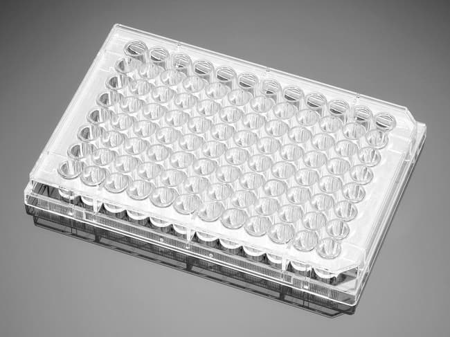 Falcon™ 96-Well, Cell Culture-Treated, Flat-Bottom Microplate