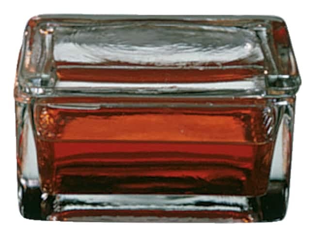 Fisherbrand™ Glass Staining Dishes for 20 Slides