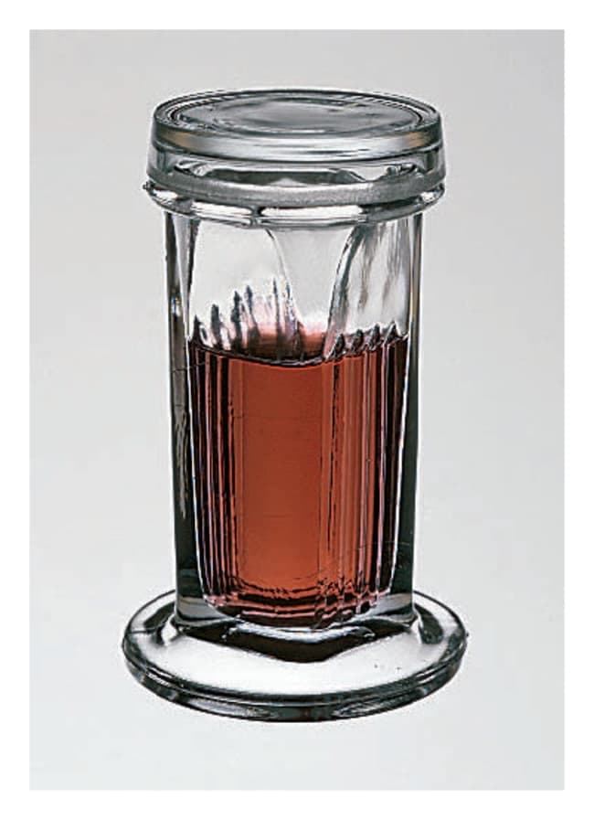 Fisherbrand™ Glass Staining Dishes for 10 Slides, with Ground-Glass Cover