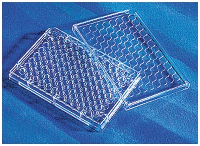 Corning™ Costar™ 96-Well Cell Culture-Treated Flat-Bottom Microplate