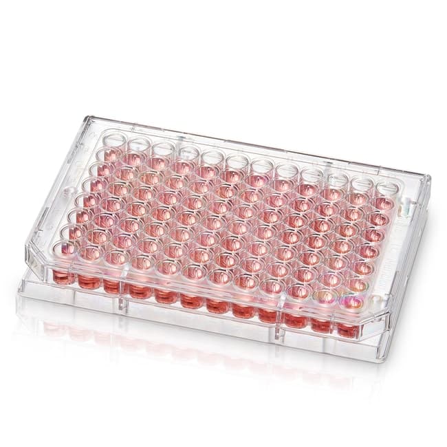 Thermo Scientific Nunc MicroWell 96-Well Microplates Sterile