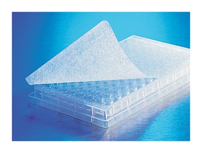 Corning™ Breathable Sealing Tape for Microplates