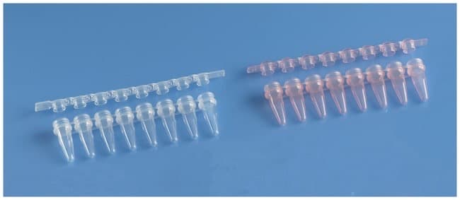 Fisherbrand™ 0.2 mL PCR Tube Strips
