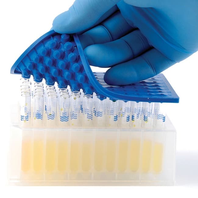 Thermo Scientific™ SureSTART™ WebSeal™ 96-Well Plate Sealing Mats, 8mm Square, Level 1