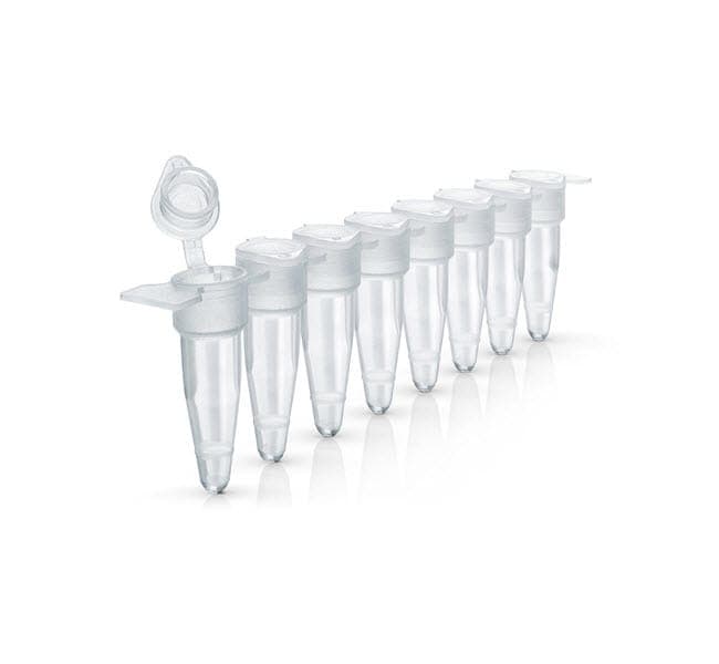 Applied Biosystems™ MicroAmp™ Optical 8-Tube Strip with Attached Optical Caps, 0.2 mL