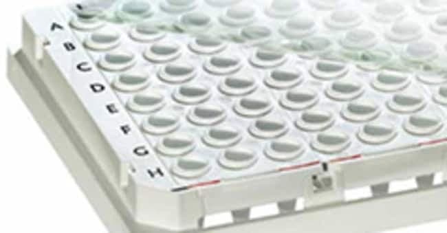 Thermo Scientific™ Optical Adhesive Film for Piko PCR Plates