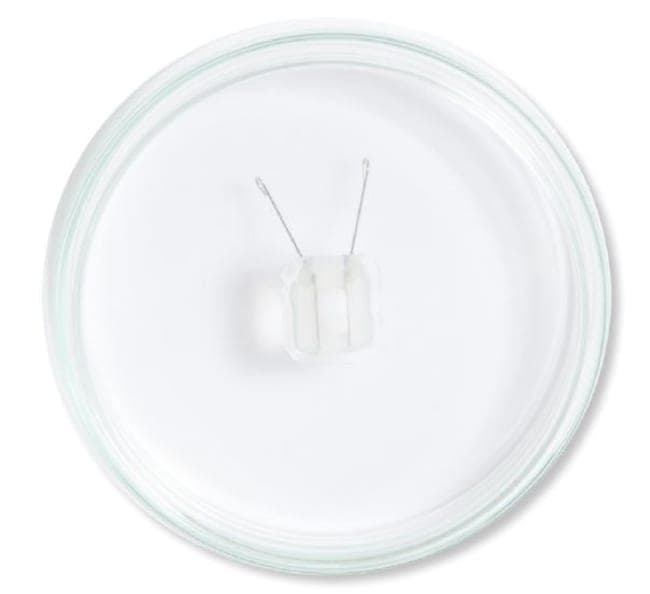 BTX™ Petri Dish Platinum Electrode Chamber