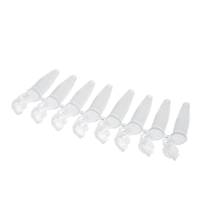 Eppendorf™ PCR Tubes — Singles and Strips