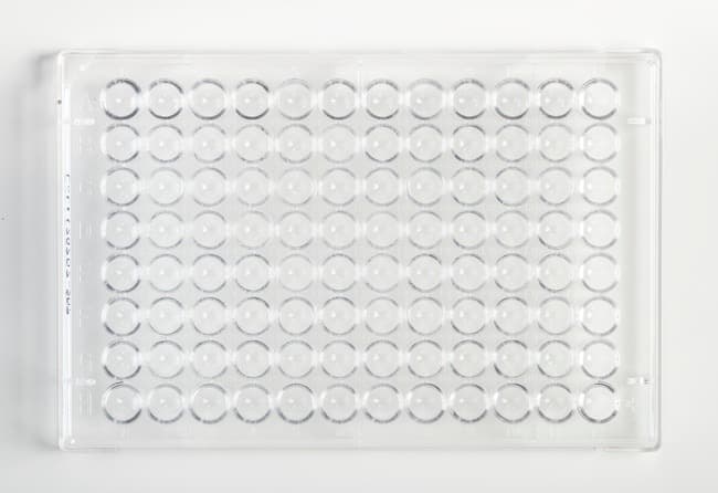 Fisherbrand™ 96-Well, Cell Culture-Treated, U-Shaped-Bottom Microplate