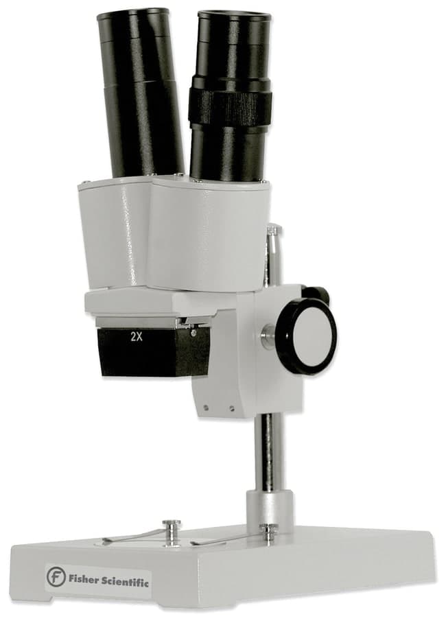 Fisher Science Education™ Primary Stereomicroscopes