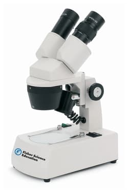 Fisher Science Education™ Intermediate Stereomicroscopes