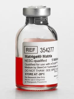 Corning™ Matrigel™ hESC-Qualified Matrix