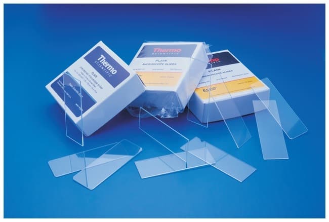 Fisherbrand™ Economy Plain Glass Micro Slides