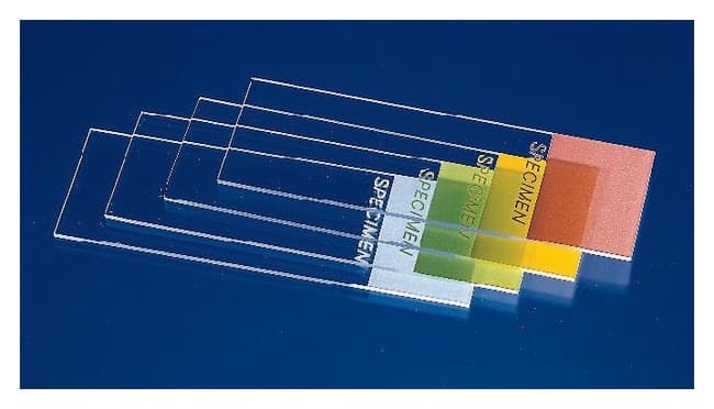 Fisherbrand™ ColorFrost™ Disposable Microscope Slides