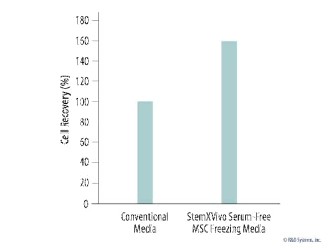 R&D Systems™ StemXVivo Serum-Free MSC Freezing Media
